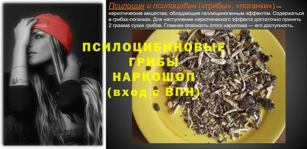 метамфетамин Белокуриха